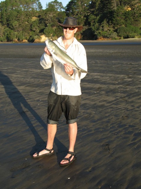 salmon salmon